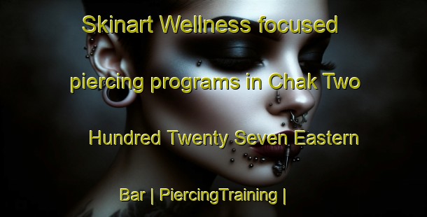 Skinart Wellness-focused piercing programs in Chak Two Hundred Twenty Seven Eastern Bar | PiercingTraining | PiercingClasses | SkinartTraining-Pakistan